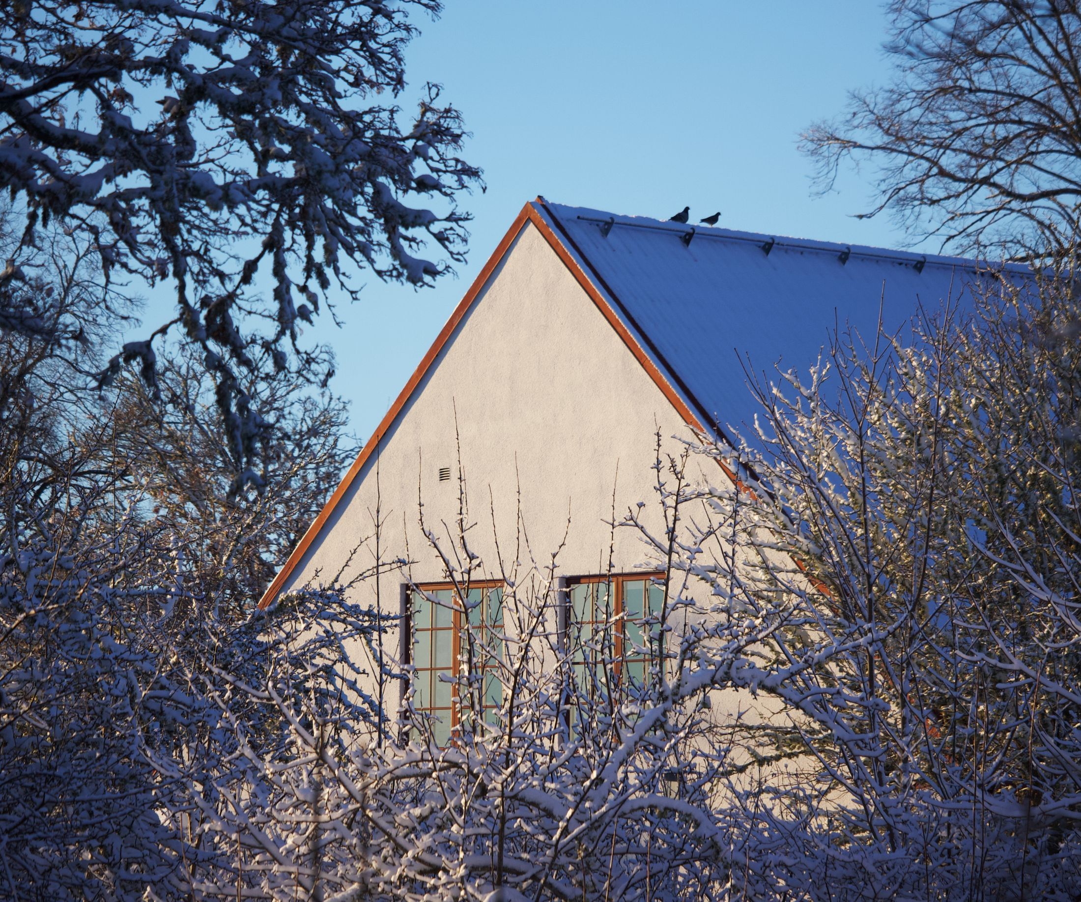 Maison à pignon entourée d’arbustes couverts de givre